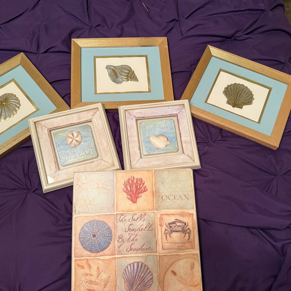 Coastal Seashell Framed Wall Art Set